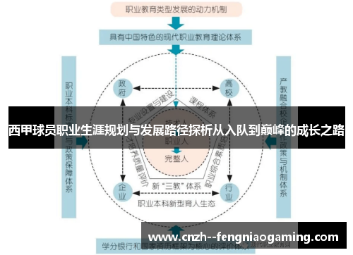 西甲球员职业生涯规划与发展路径探析从入队到巅峰的成长之路