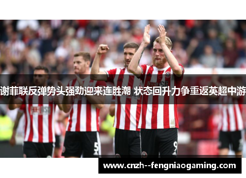 谢菲联反弹势头强劲迎来连胜潮 状态回升力争重返英超中游