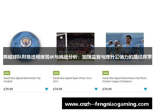英超球队财务透明度现状与挑战分析：加强监管与提升公信力的路径探索