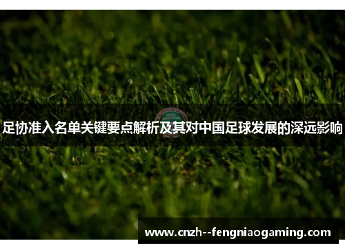 足协准入名单关键要点解析及其对中国足球发展的深远影响 足协准入名单关键要点解析及其对中国足球发展的深远影响