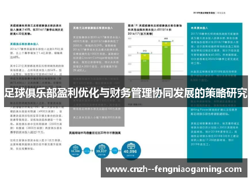 足球俱乐部盈利优化与财务管理协同发展的策略研究 足球俱乐部盈利优化与财务管理协同发展的策略研究