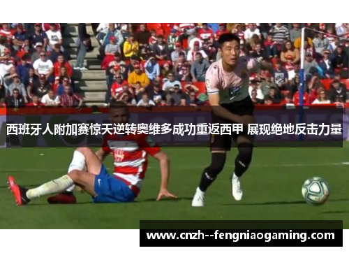 西班牙人附加赛惊天逆转奥维多成功重返西甲 展现绝地反击力量