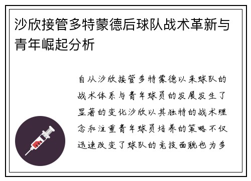 沙欣接管多特蒙德后球队战术革新与青年崛起分析 沙欣接管多特蒙德后球队战术革新与青年崛起分析